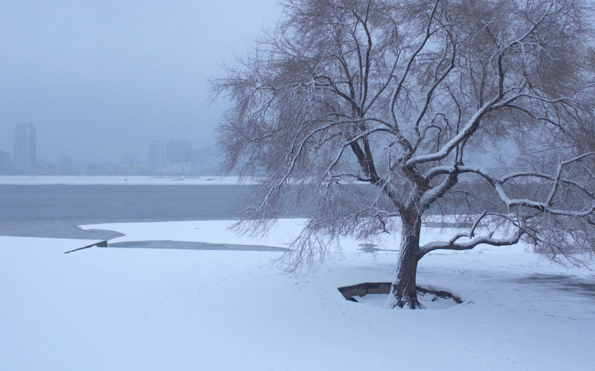 哈尔滨冬天雪景（4）