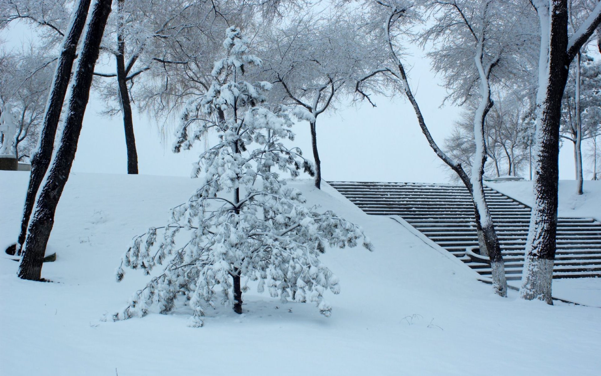 哈尔滨冬天雪景（5）
