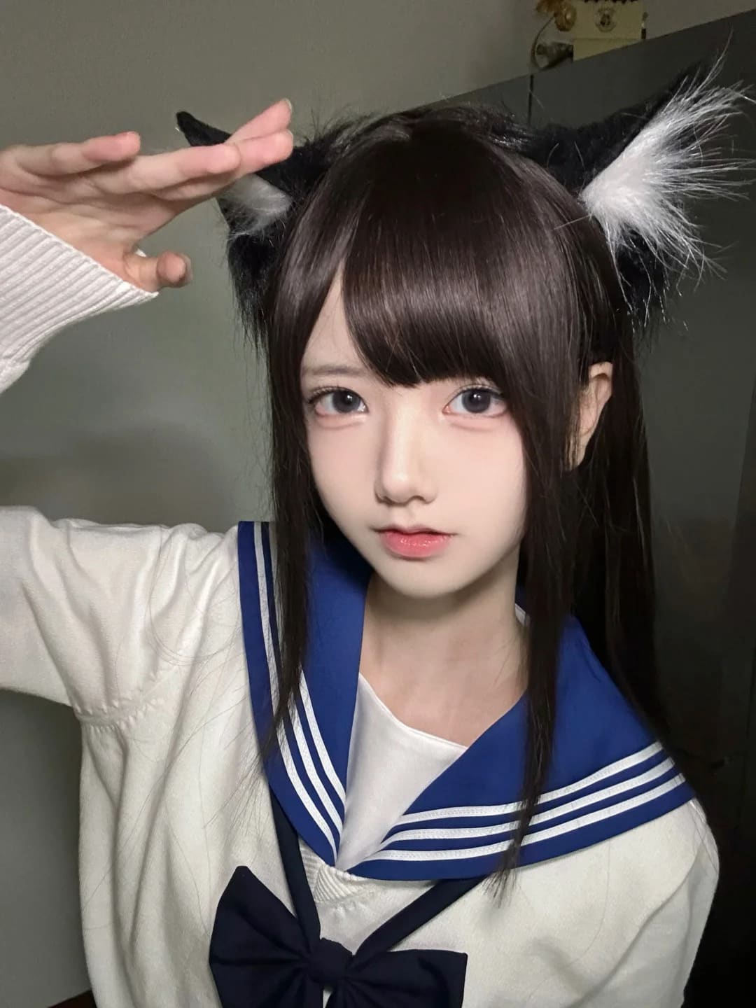 杏之干：有没有喜欢猫的