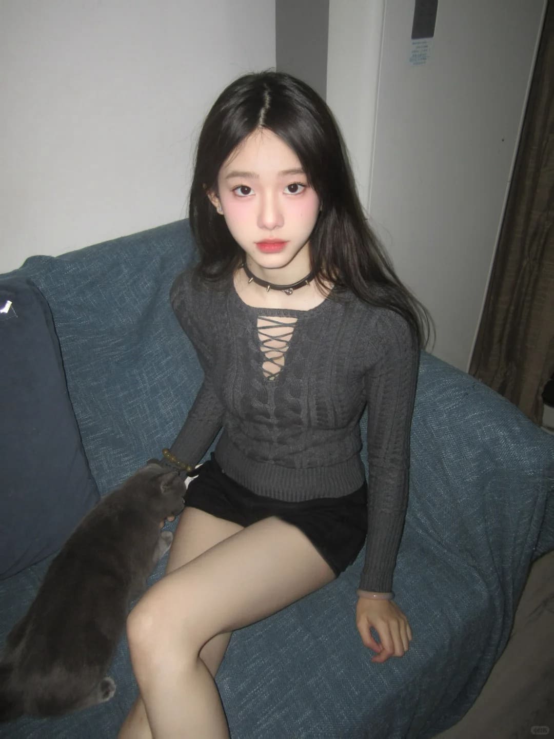 songzhen：灰色小猫