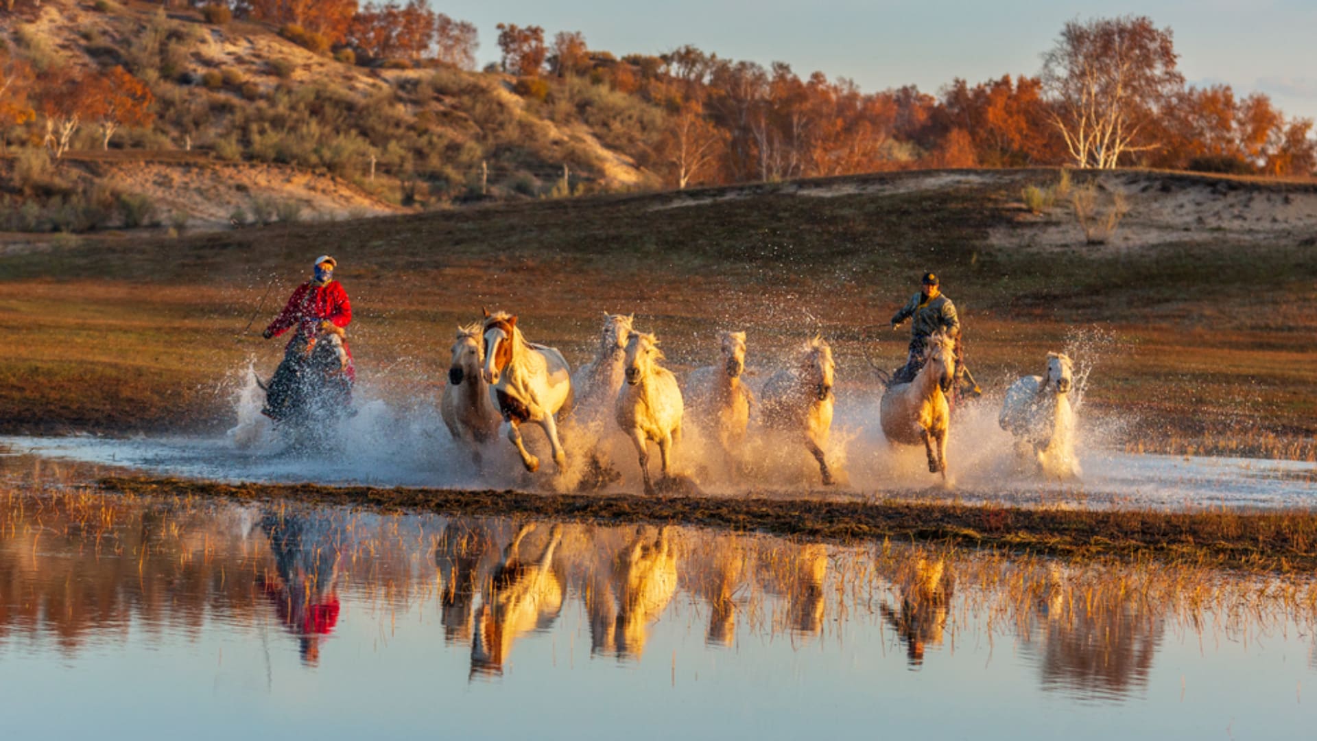 坝上秋色-马踏水花（2）