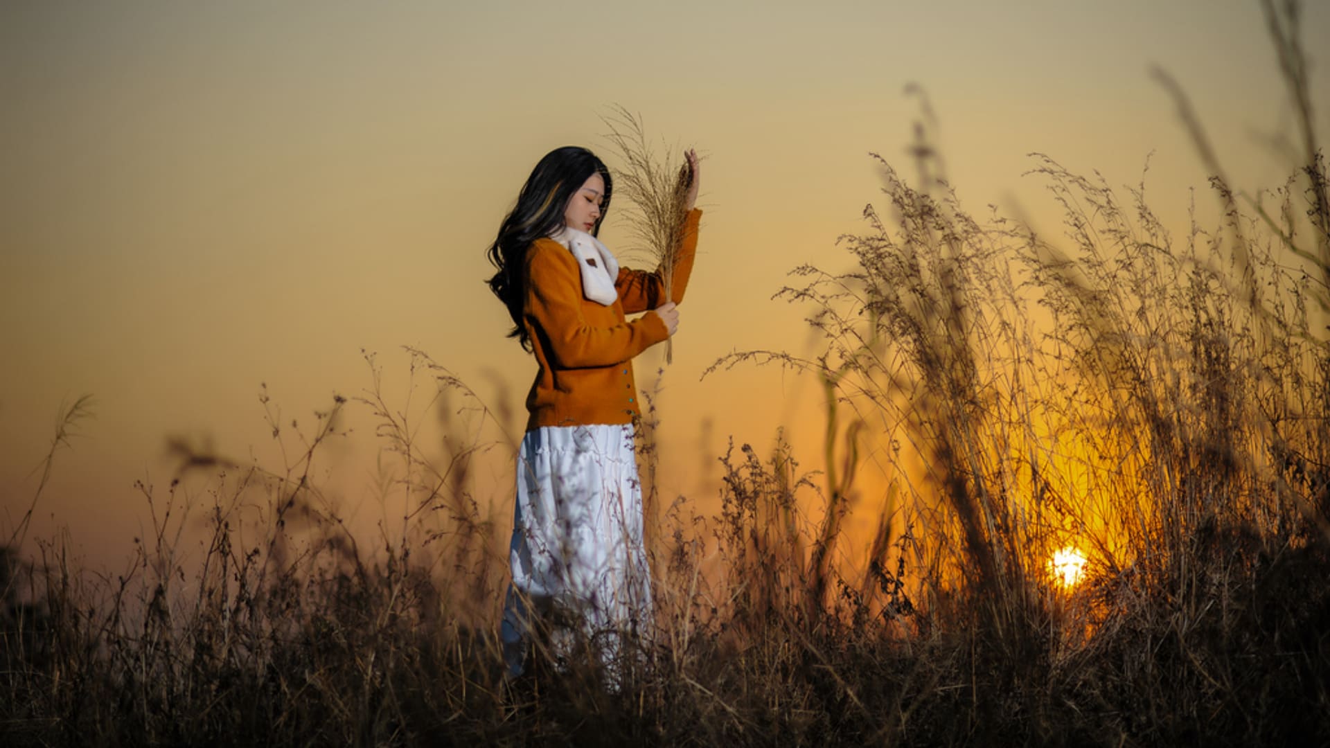 诗诗：微风徐徐 荒草萋萋（1）