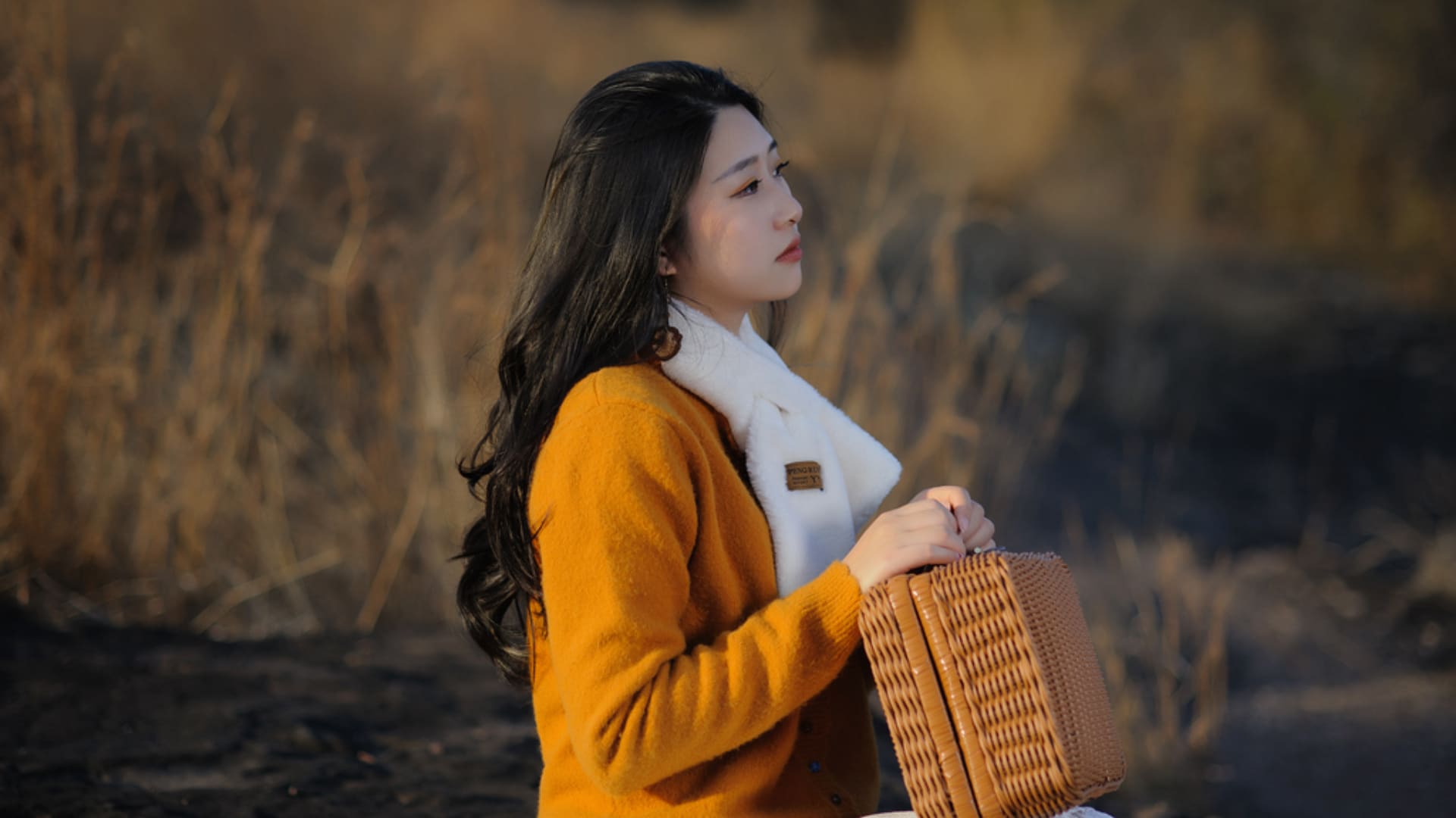 诗诗：微风徐徐 荒草萋萋（2）