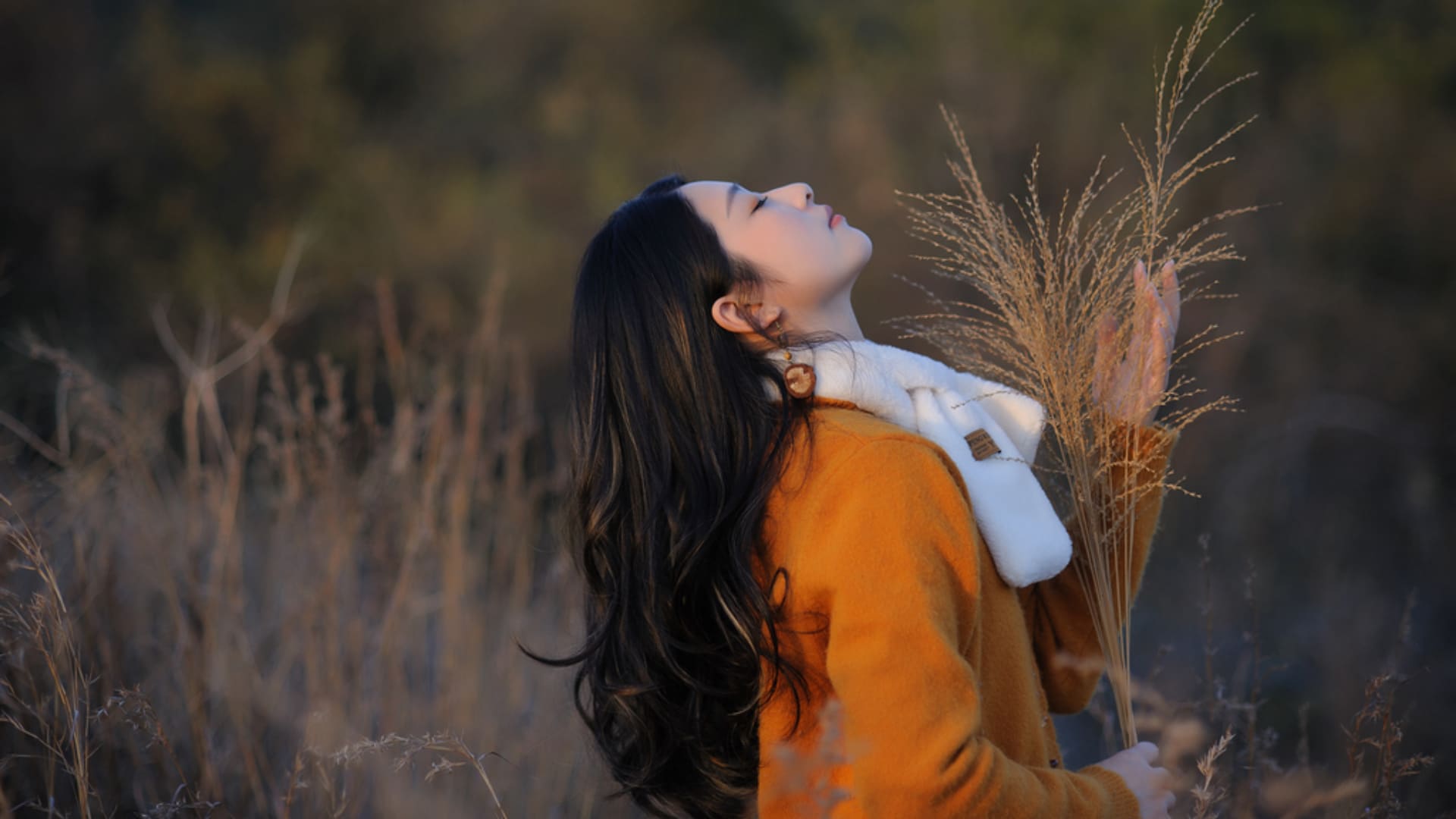诗诗：微风徐徐 荒草萋萋（3）