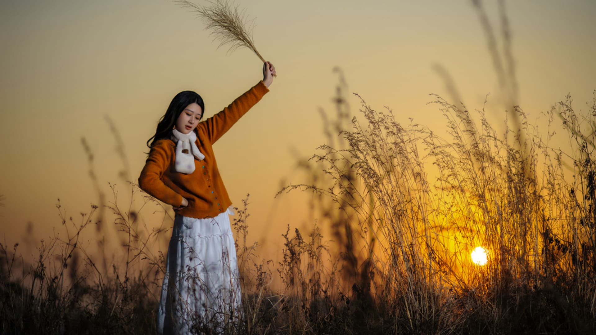 诗诗：微风徐徐 荒草萋萋（4）