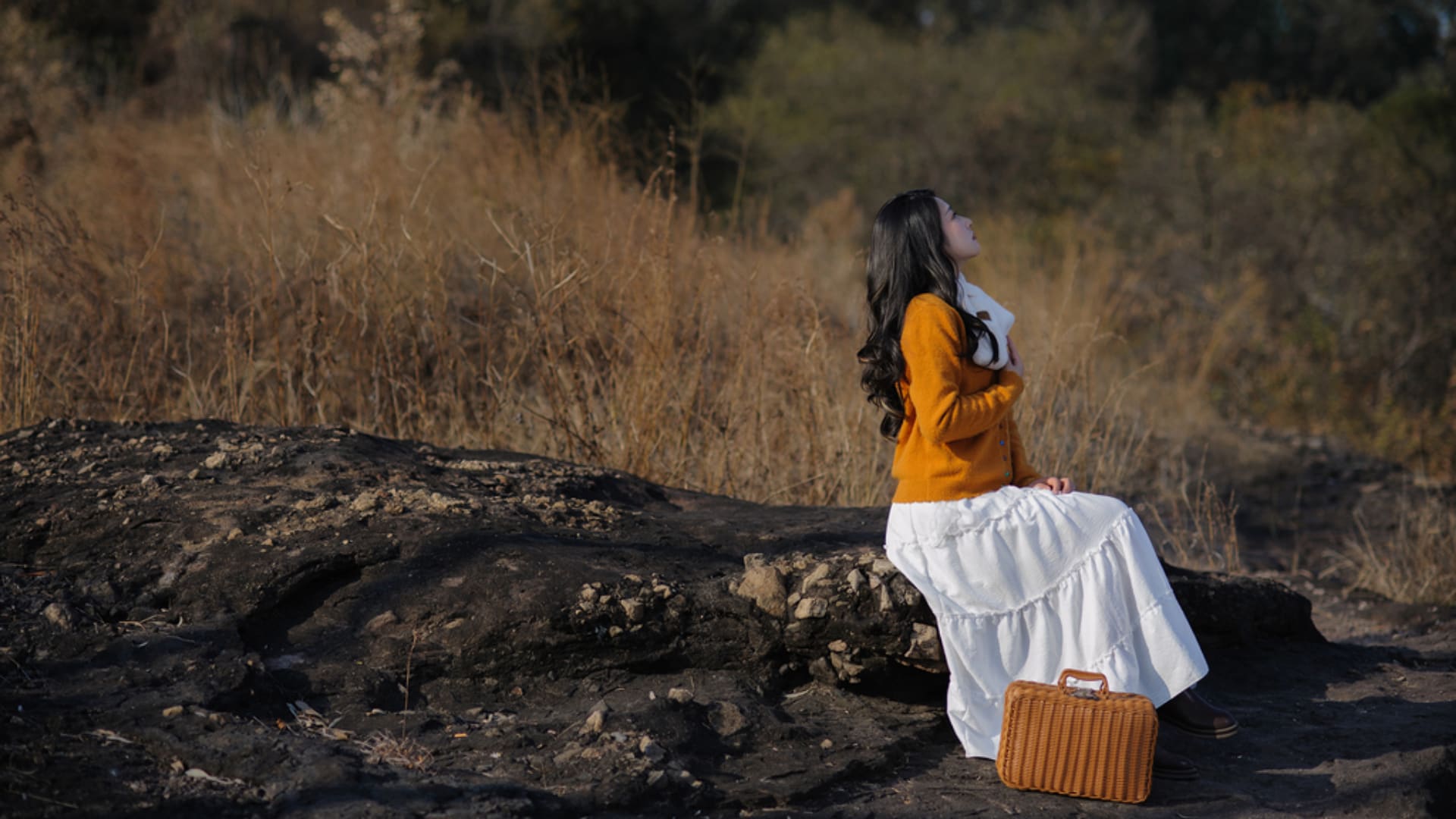 诗诗：微风徐徐 荒草萋萋（5）