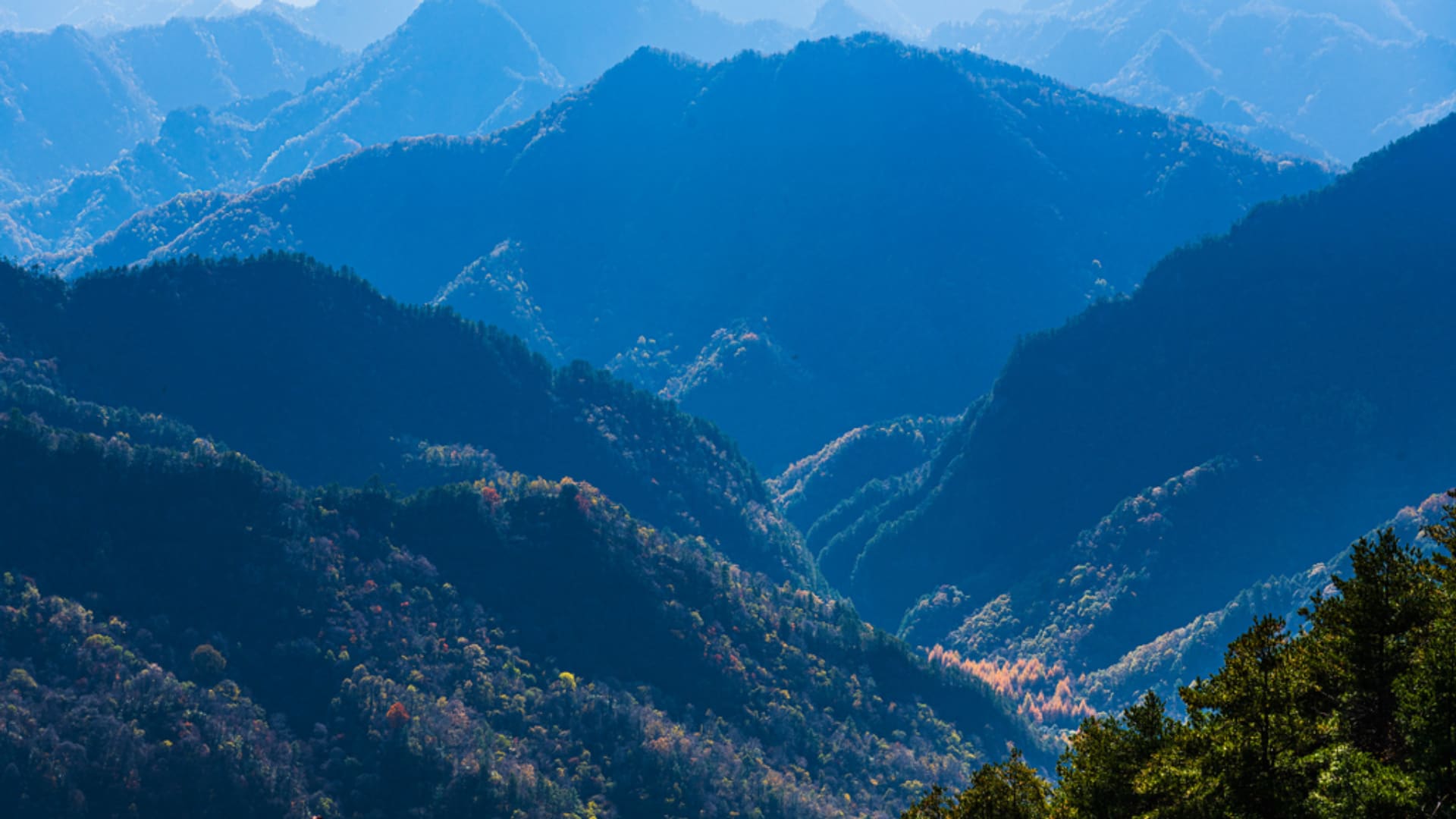 陕西紫柏山（3）